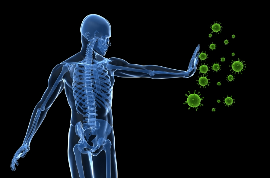 Sleep And Immunity 3 Tips How To Improve Your Immune System