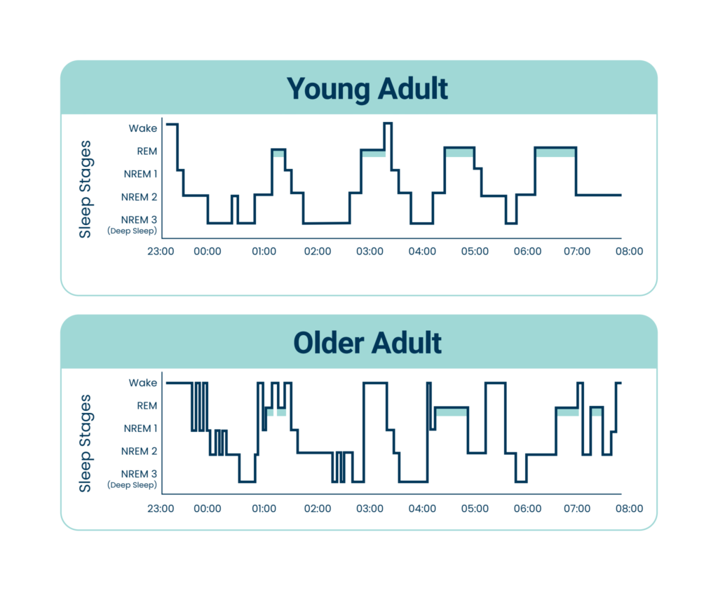 The Power of Sleep and Its Impact on Our Longevity SleepScore